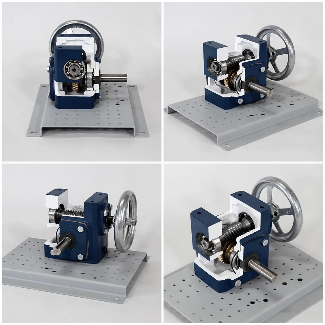 Right-angle worm gear reducer cutaway showing bearing reactions and force flow