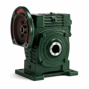 WPWDKS Worm Gearbox 1