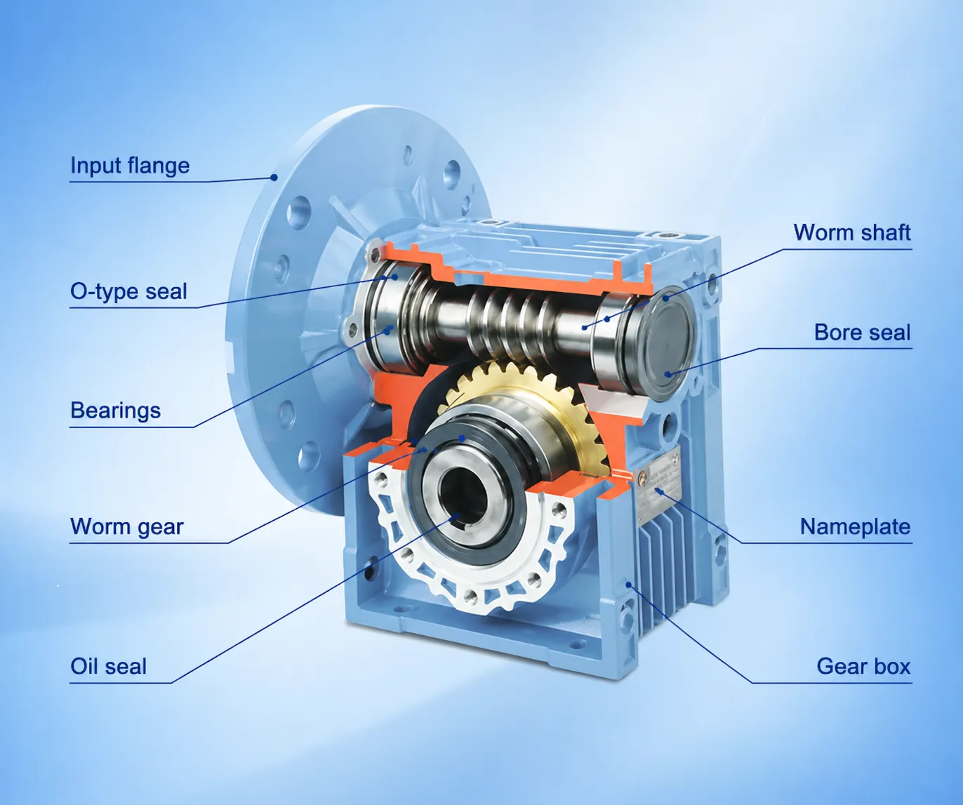 Worm gear reducer exploded structure diagram with all components labeled