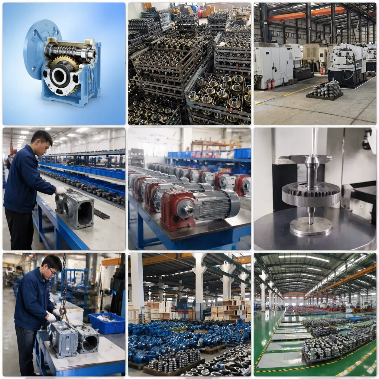 worm gear reducer factory 3